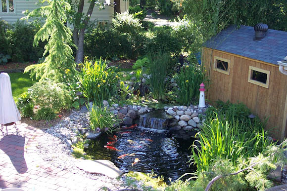 7000 Gallon Koi Pond and Water Garden