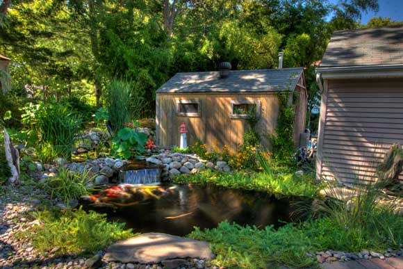 Large Koi Pond