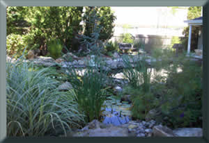 Water Garden and Koi Pond NJ