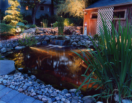 Landscape Lighting for Ponds