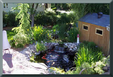 Lucas Koi Pond NJ