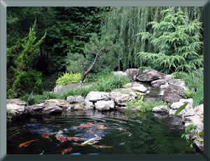 Koi Pond NJ